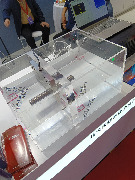 IMG20251030103418.jpg